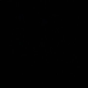 Meet your Posher, Brynley